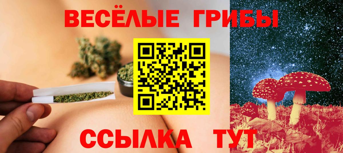 Псилоцибиновые грибы прущие грибы Кимры