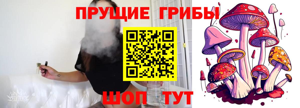 Марихуана  Cocaine  Меф   Кимры  Вход с VPN 